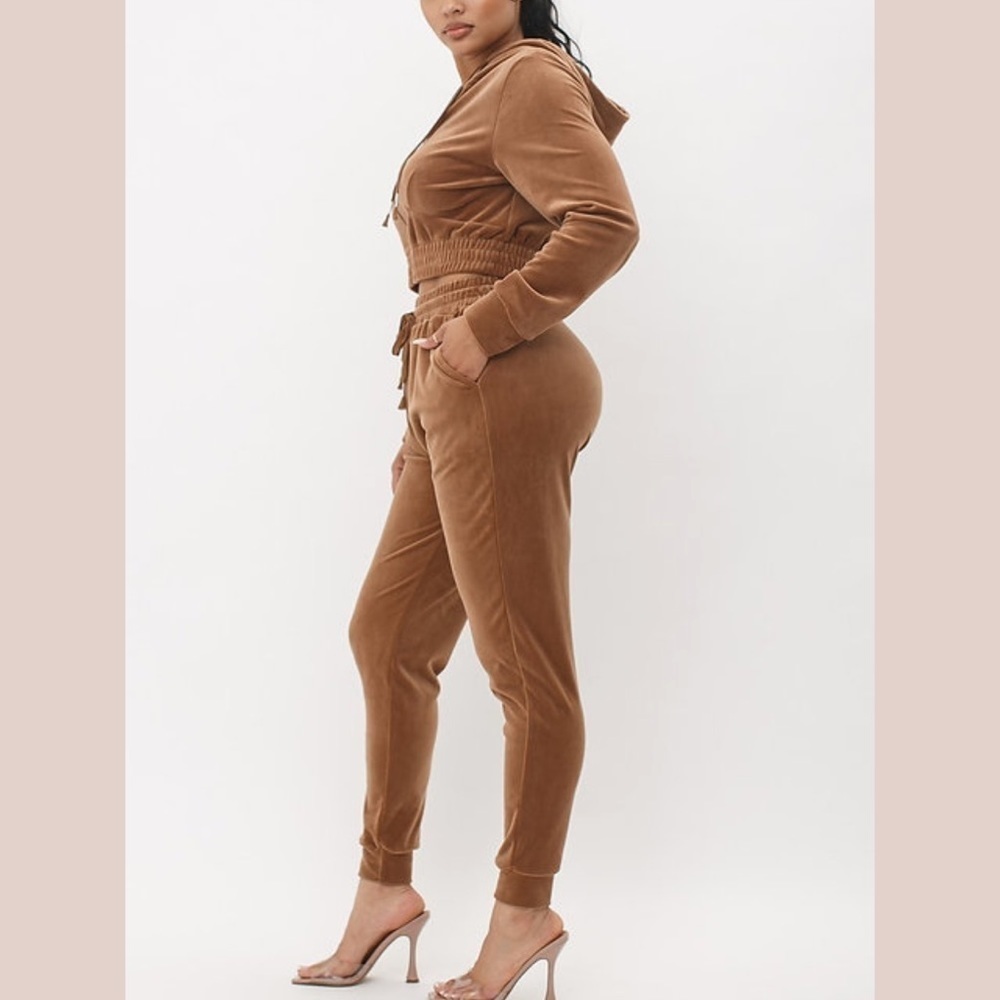 Brown Velour Jogger Set With Crop Hoodie - Picture 2 of 10